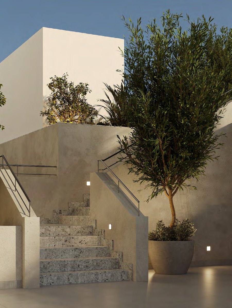 Podium terrace stair in warm stone with planted olive trees against the building's white walls